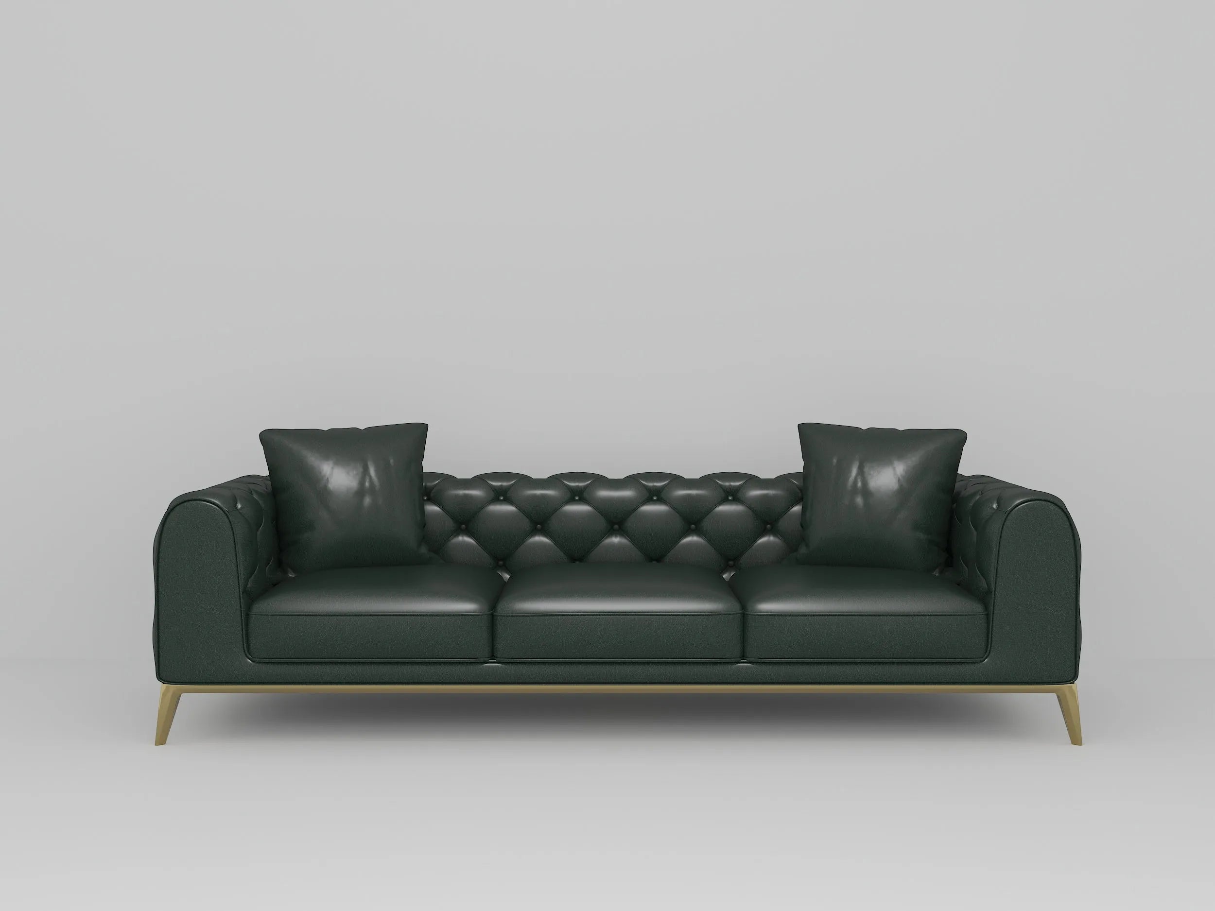 Customizable Leather  Sofa with Brass Legs-7