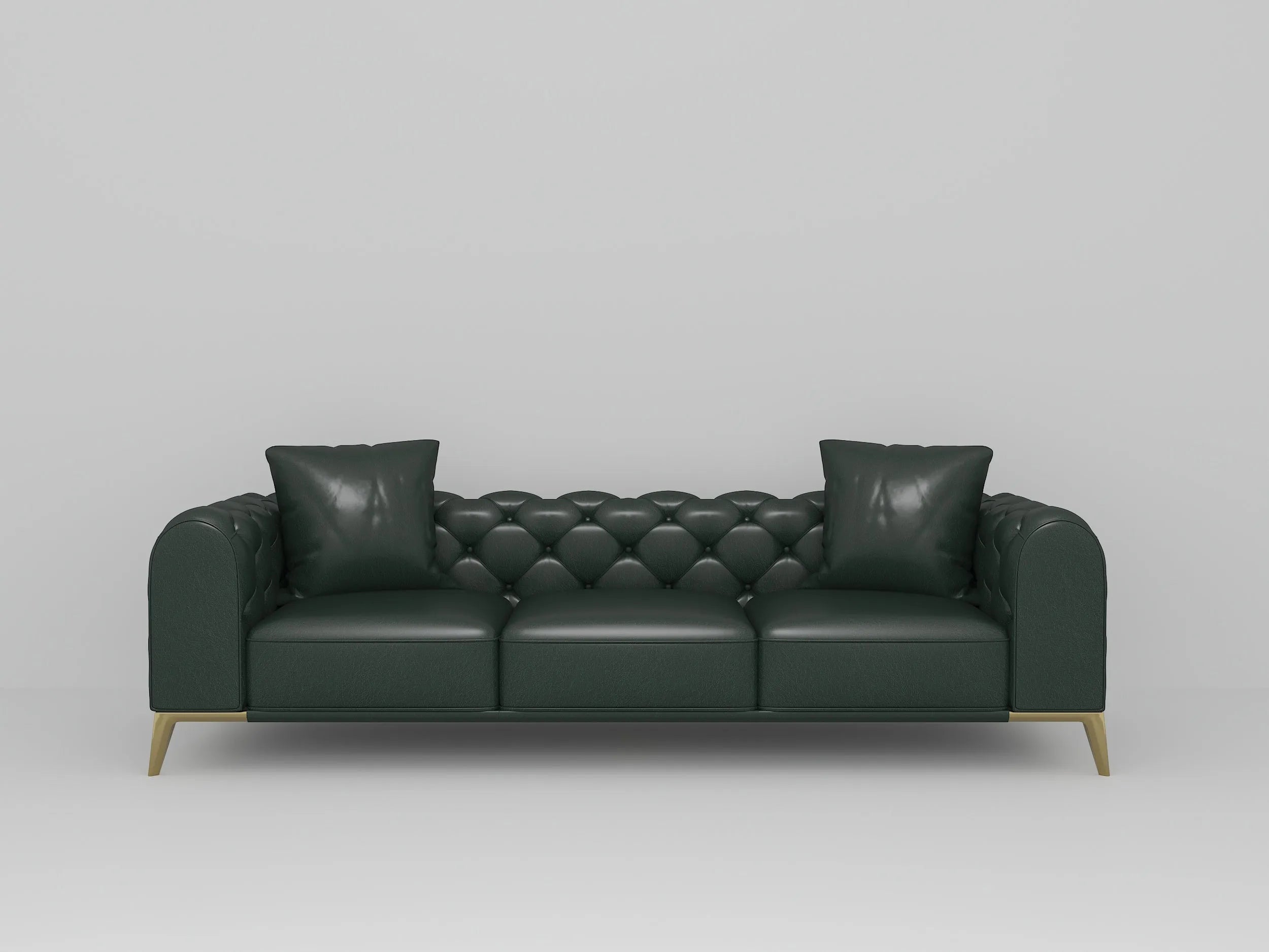Customizable Leather  Sofa with Brass Legs-6
